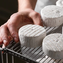 Fromage bio style camembert à croûte fleurie 120 gr - Fermaggio