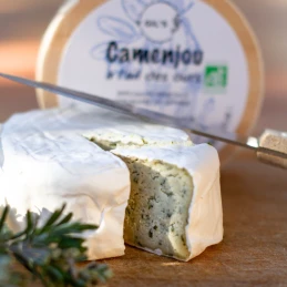 Camenjou Ail des Ours 1 x 130 gr - Alternative végétale BIO au Camembert - VGIL'S