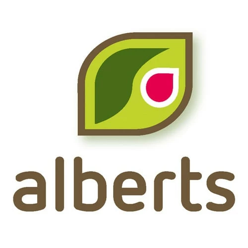 Tofu Alberts